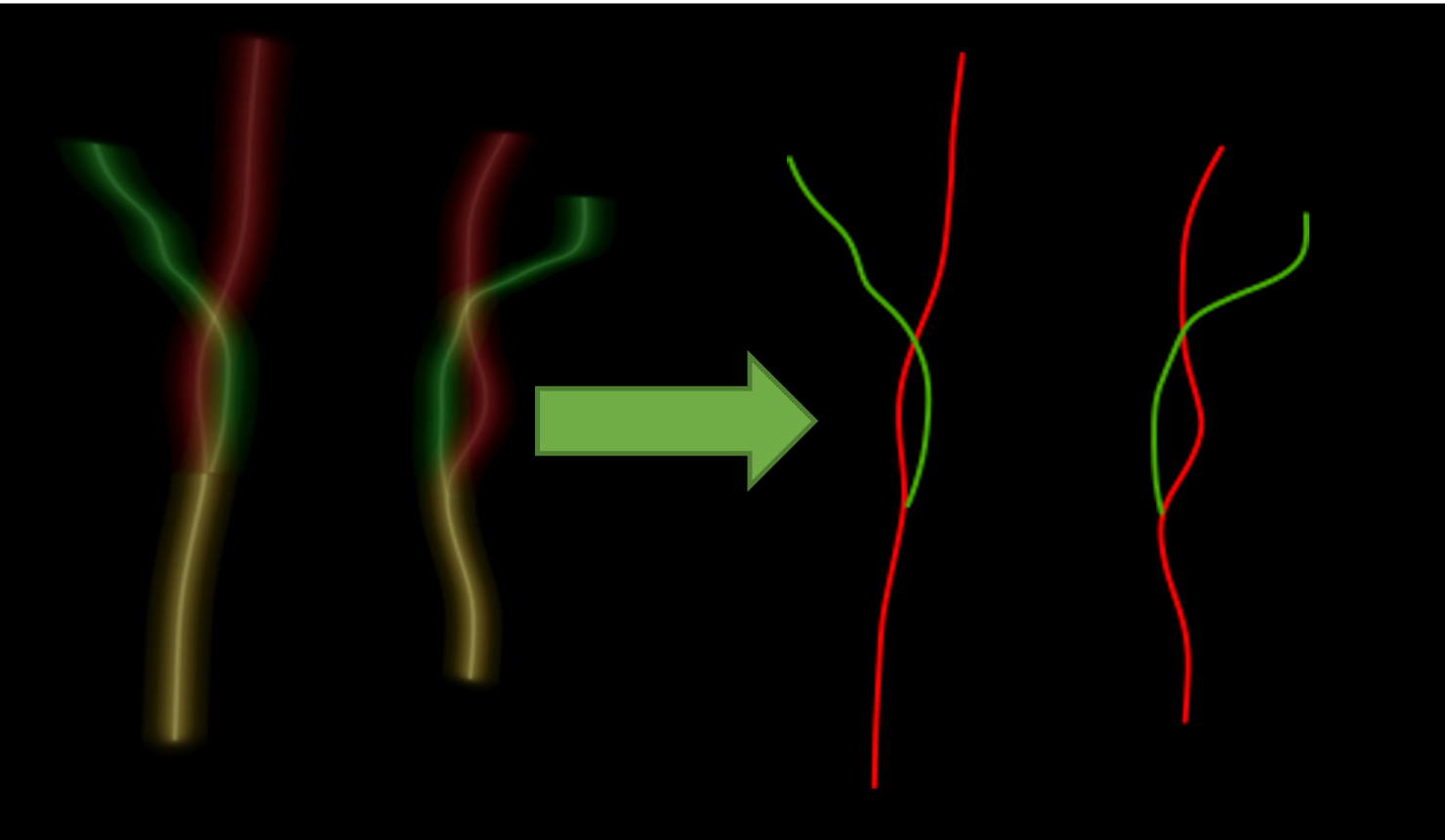 Illustration of centerline transform